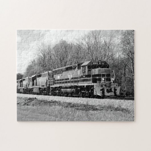 Spring Train B&W Schilderachtig Family Fun Puzzle Legpuzzel (Horizontaal)