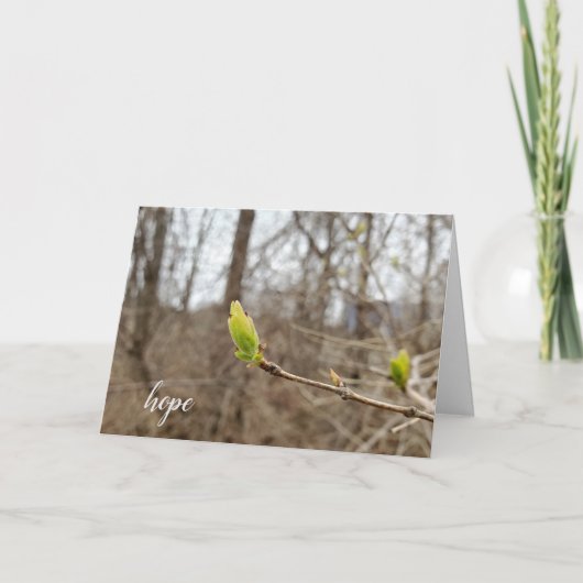 Spring tree bud for Hope denkend aan jou Kaart (Voorkant)