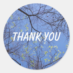 Spring Trees Dank je Ronde Sticker