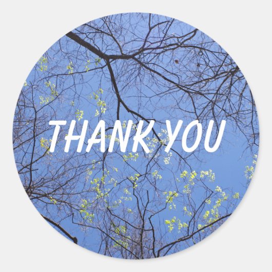 Spring Trees Dank je Ronde Sticker (Voorkant)