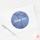 Spring Trees Dank je Ronde Sticker (Envelop)
