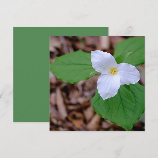 Spring Trillium Color Unedited Photography  Notitiekaartje (Voorkant / Achterkant)