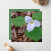 Spring Trillium Color Unedited Photography  Notitiekaartje (Voorkant / Achterkant in situ)