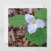 Spring Trillium Color Unedited Photography  Notitiekaartje (Voorkant)