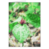 Spring Trillium WildflowerAll Occasions Greeting (Voorkant)