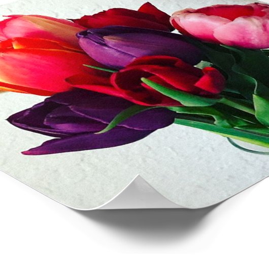 Spring Tulip Bouquet Poster (Hoek)