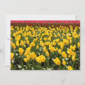 Spring Tulip Bridal Shower Invitation Kaart (Achterkant)