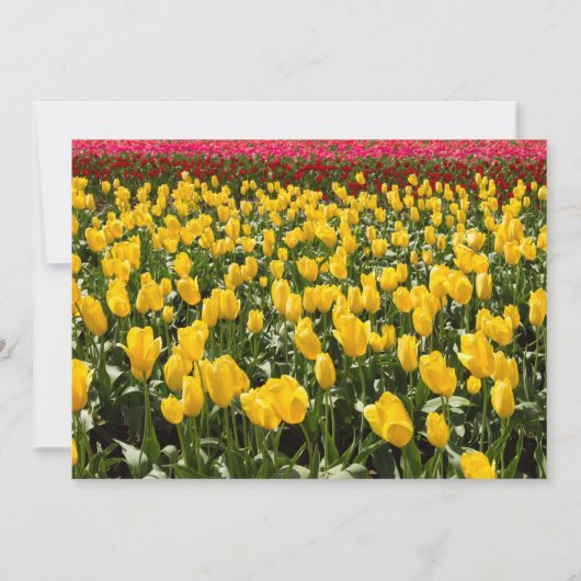 Spring Tulip bruids douche uitnodiging (Achterkant)