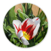 Spring Tulip Ceramic Pull Keramische Knop (Voorkant)
