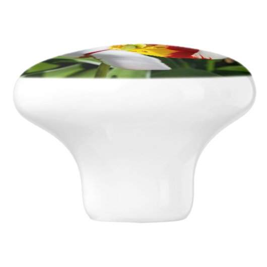 Spring Tulip Ceramic Pull Keramische Knop (Zijkant)