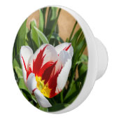 Spring Tulip Ceramic Pull Keramische Knop (Rechts)