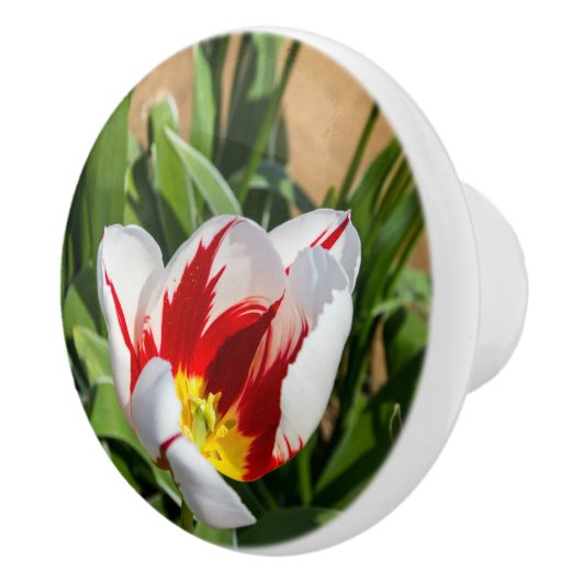 Spring Tulip Ceramic Pull Keramische Knop (Rechts)