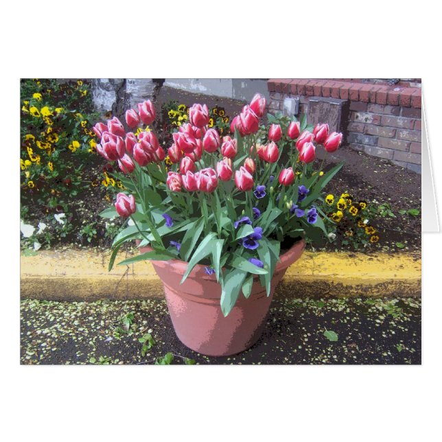 Spring Tulip Clay Pot (Voorkant Horizontaal)