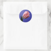 Spring Tulip Envelope Seal Sticker (Tas)