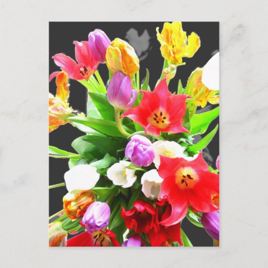 Spring Tulip Flowers Briefkaart (Voorkant)
