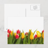 Spring Tulip Garden Briefkaart (Voorkant / Achterkant)