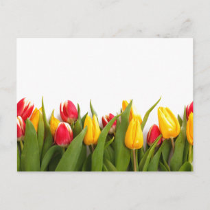 Spring Tulip Garden Briefkaart