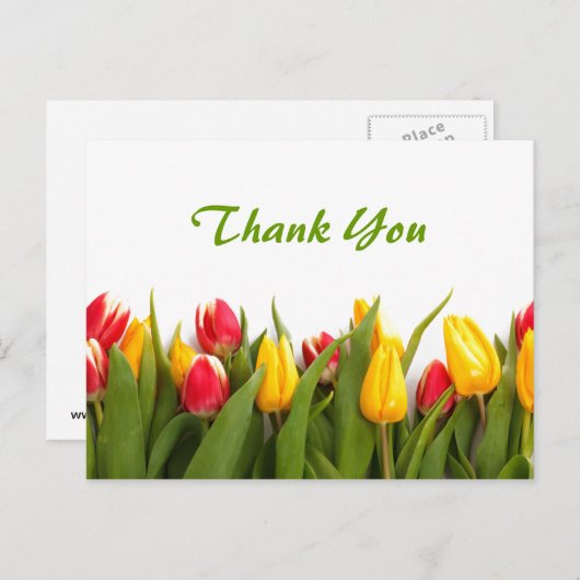 Spring Tulip Garden Dank u Briefkaart (Voorkant / Achterkant)