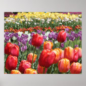 Spring Tulip Garden Poster (Voorkant)