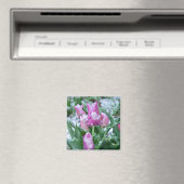Spring Tulip Magnet (Insitu (Vaatwasser))