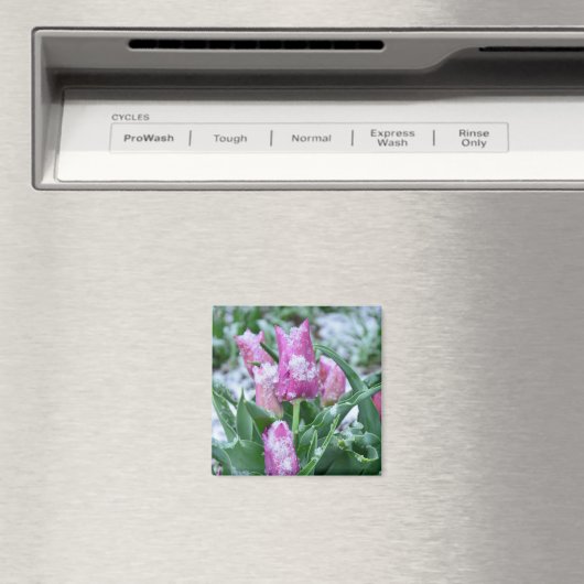 Spring Tulip Magnet (Insitu (Vaatwasser))