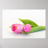 Spring Tulip Poster (Voorkant)