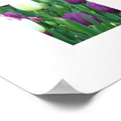 Spring Tulips Floral Photographic Poster (Hoek)