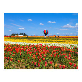 Spring Tulips Foto Uitbreiding Afdruk