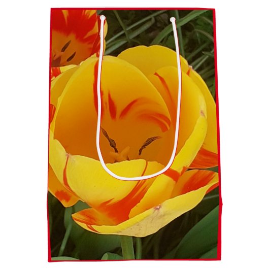 Spring Tulips Gift Bag Medium Cadeauzakje (Achterkant)