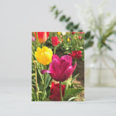 Spring Tulips (Oregon) Briefkaart (Staand voorkant)