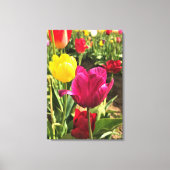 Spring Tulips (Oregon) Canvas Afdruk (Voorkant)