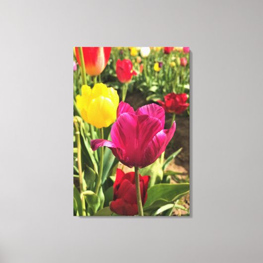 Spring Tulips (Oregon) Canvas Afdruk (Voorkant)