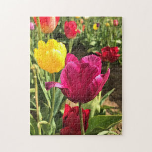 Spring Tulips (Oregon) Legpuzzel