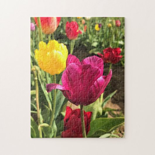Spring Tulips (Oregon) Legpuzzel (Verticaal)
