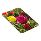 Spring Tulips (Oregon) Magneet (Rechterzijde)
