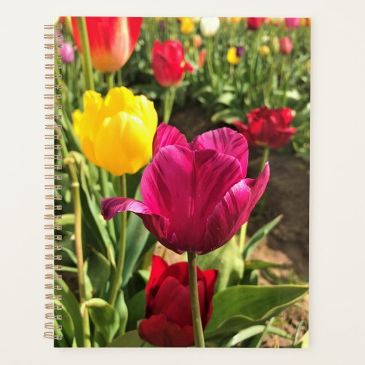 Spring Tulips (Oregon) Planner (Voorkant)