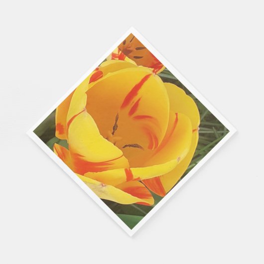 Spring Tulips Paper Napkins Servet (Hoek)