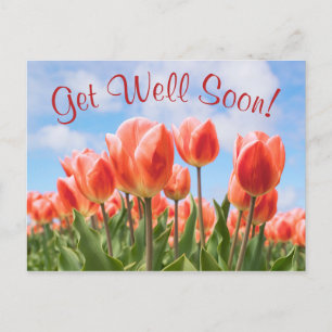 Spring Tulips Sunny Get Well Soon Briefkaart