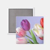 Spring Tulpen Magnet (Voorkant / Achterkant)