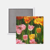 Spring Tulpen Magnet (Voorkant / Achterkant)