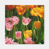 Spring Tulpen Magnet (Voorkant)