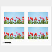 Spring Tulpen Stickers (Vel)