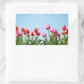 Spring Tulpen Stickers (Tas)