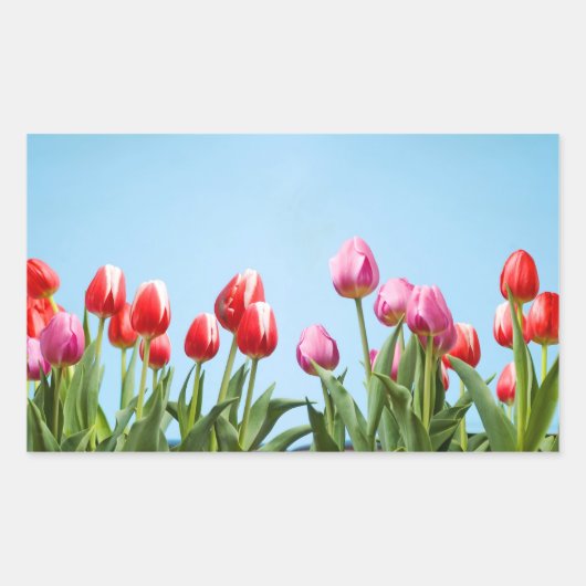 Spring Tulpen Stickers (Voorkant)