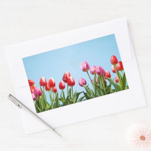 Spring Tulpen Stickers (Envelop)