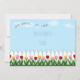 Spring Tulpen Wit Piket Fence Custom Foto Aankondiging
