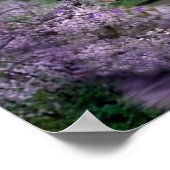 Spring Unicorn fantasy Poster (Hoek)