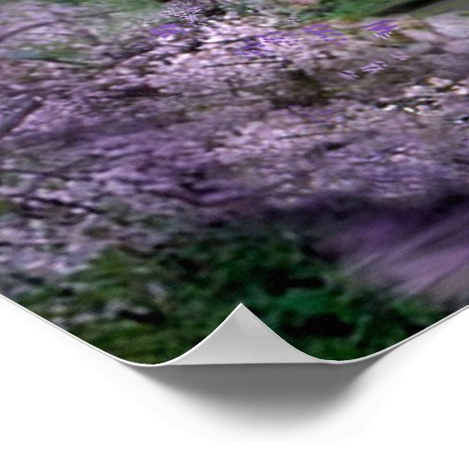 Spring Unicorn fantasy Poster (Hoek)