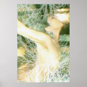 Spring van Gregory Gallo Poster (Voorkant)