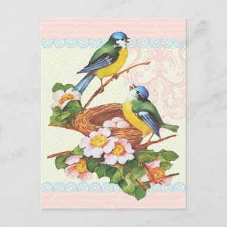 Spring Vintage Cute Bird Couple and Nest Briefkaart
